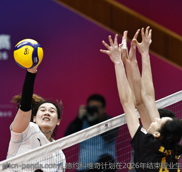 德约科维奇计划在2026年结束职业生涯的可能性探讨