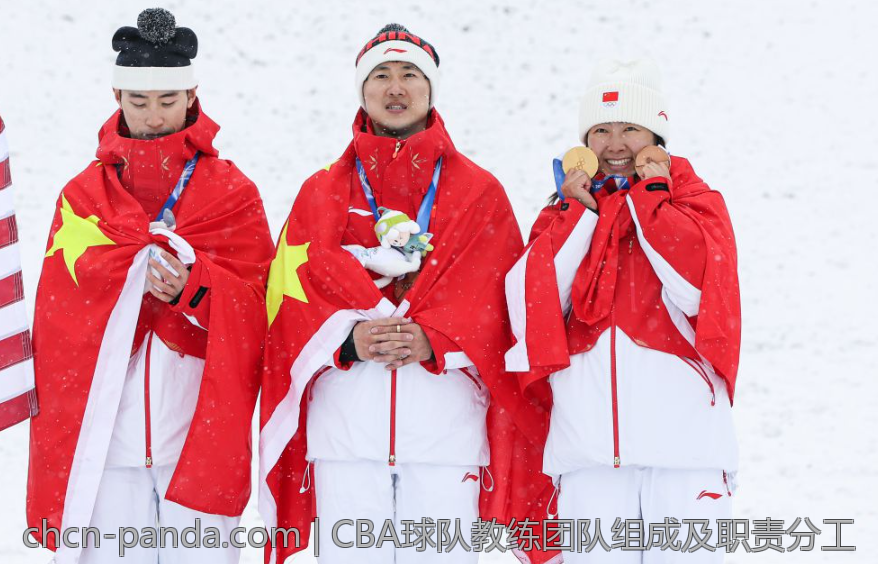 CBA球队教练团队组成及职责分工