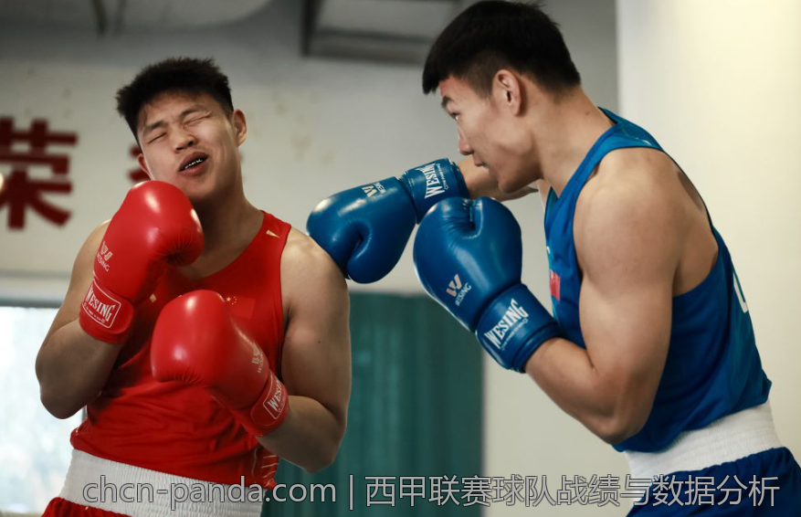西甲联赛球队战绩与数据分析